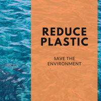 Plastikfasten